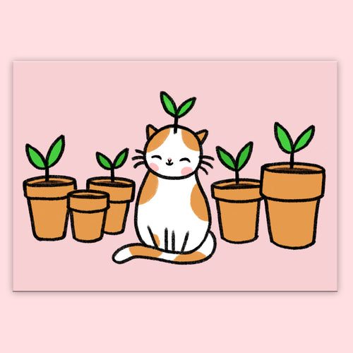 Sprout Kitty Postcard